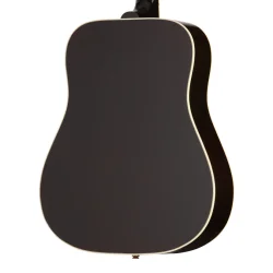 Hummingbird Standard with HiFi DNA Vintage Sunburst